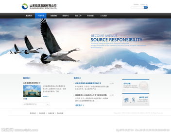 公司網站圖片與計算機網絡工程 構建高效視覺與數據交互平臺